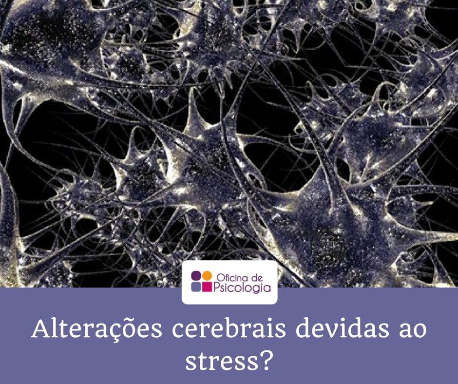Alterações cerebrais devidas ao stress