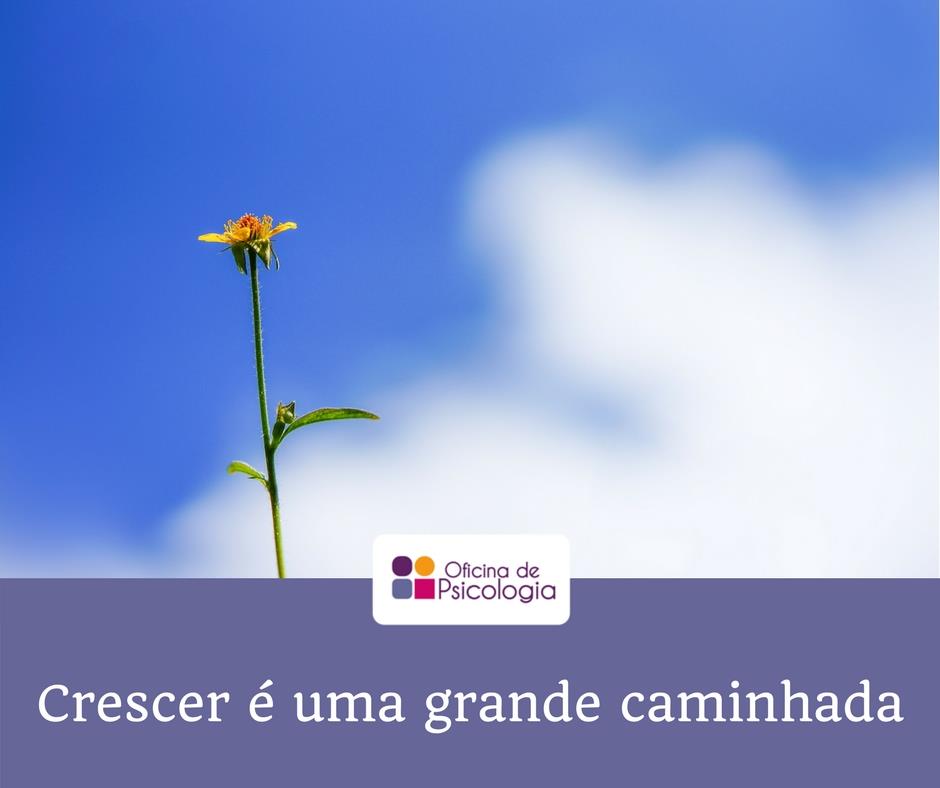 Crescer é uma grande caminhada