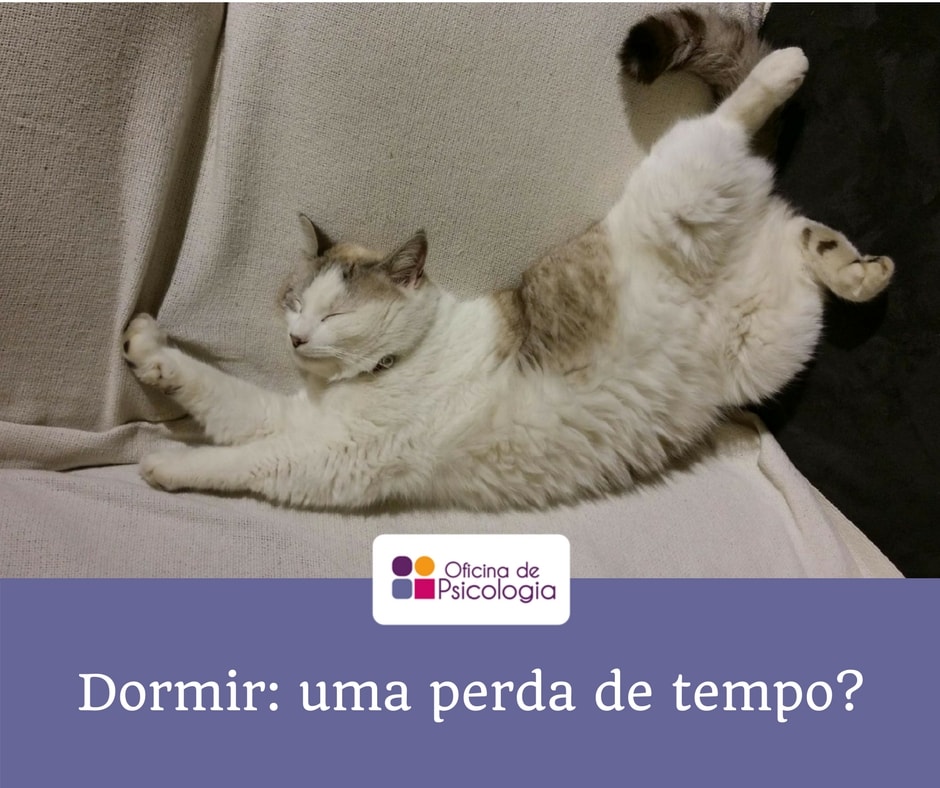 Dormir? Uma perda de tempo?