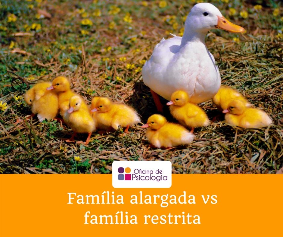 Família alargada vs família restrita