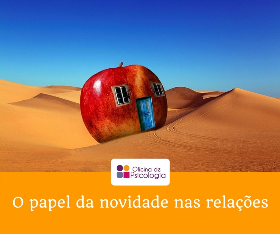 O papel da novidade nas relações