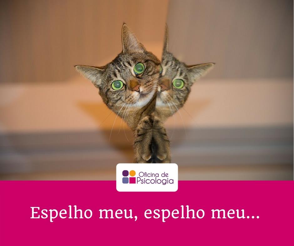 Espelho meu, espelho meu