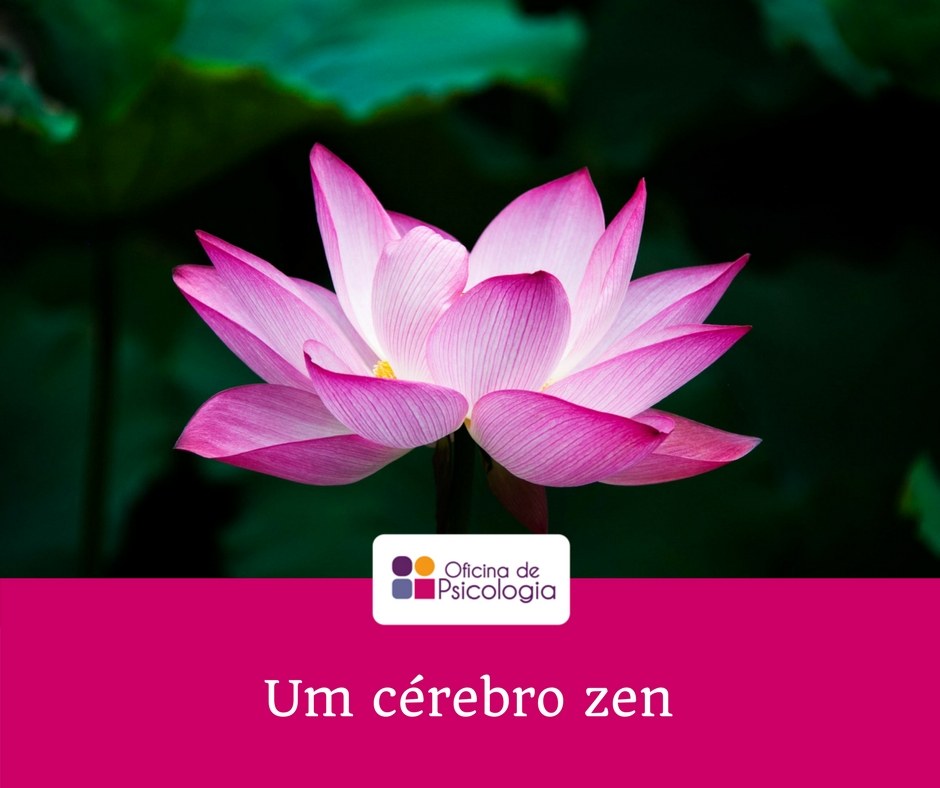 Um cérebro zen