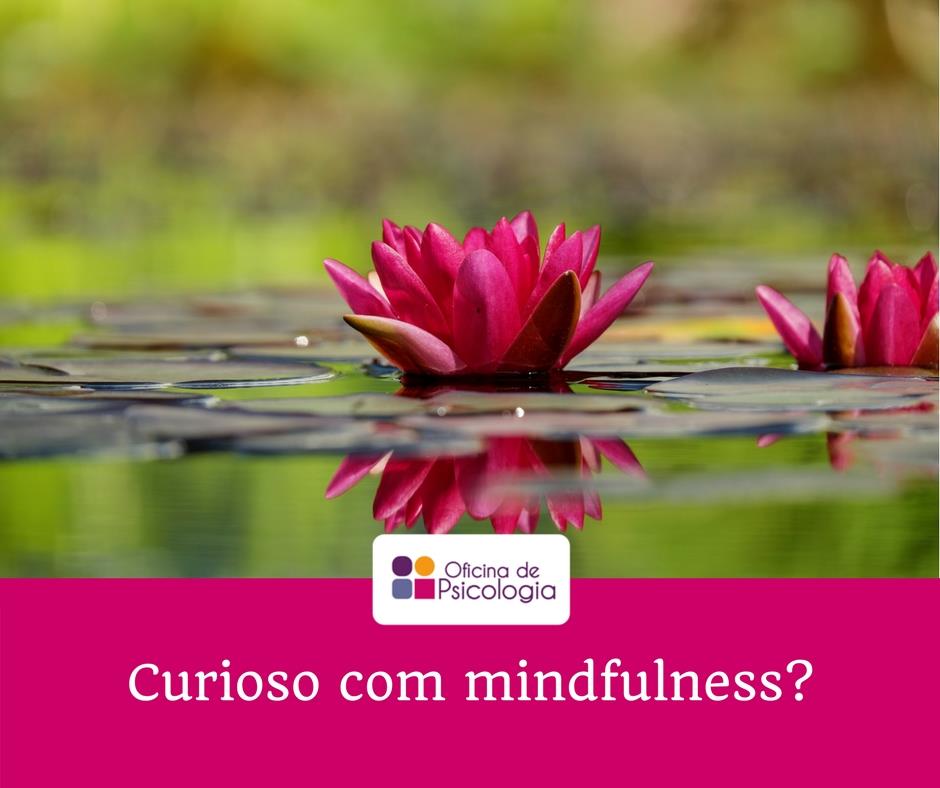 Curioso com mindfulness?