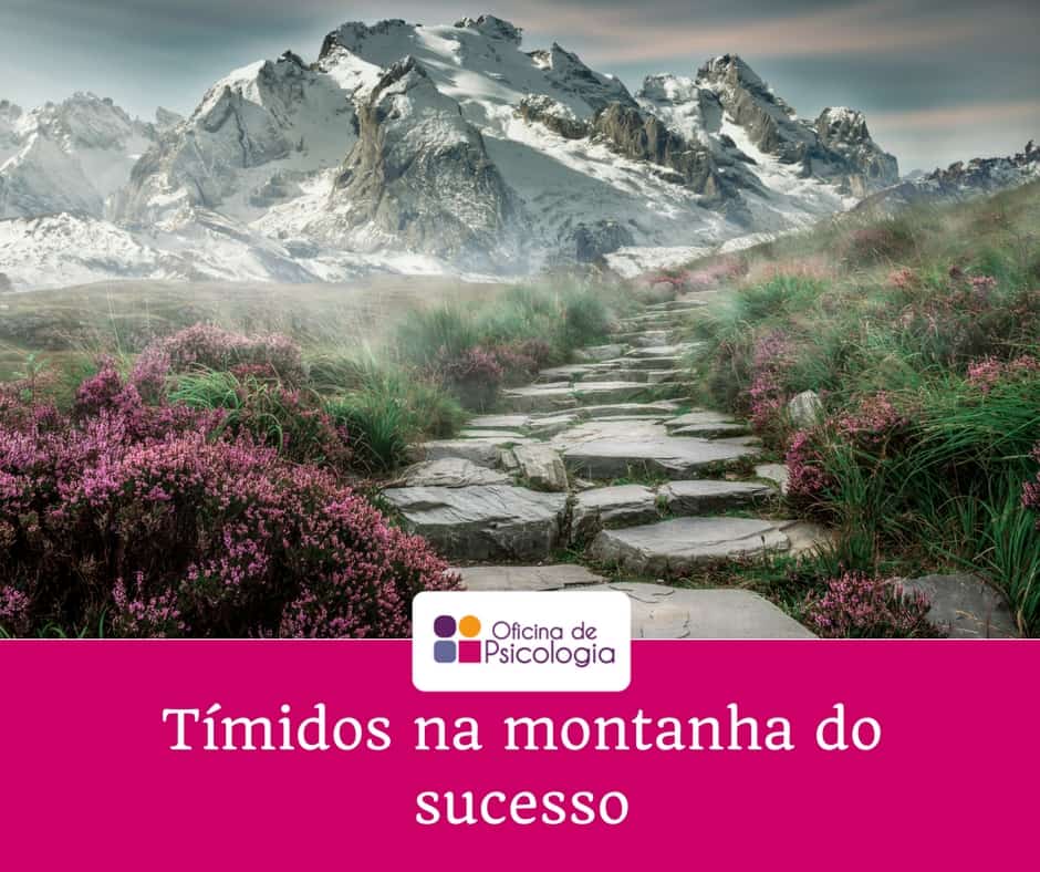 timidos na montanha do sucesso-min
