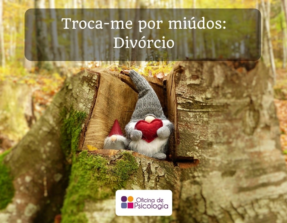 Troca-me por miúdos divórcio