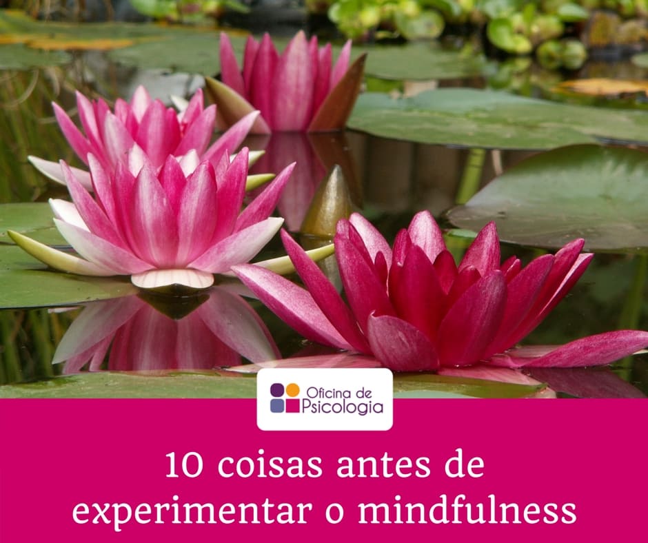 10 coisas antes de experimentar o mindfulness