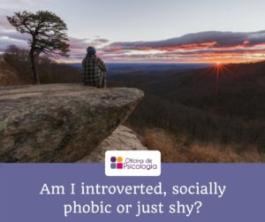 Am I introverted?