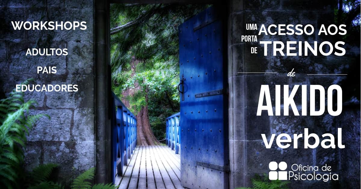 Acesso aikido verbal