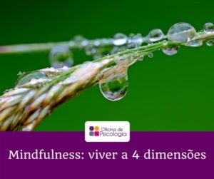 Mindfulness viver a 4 dimensões
