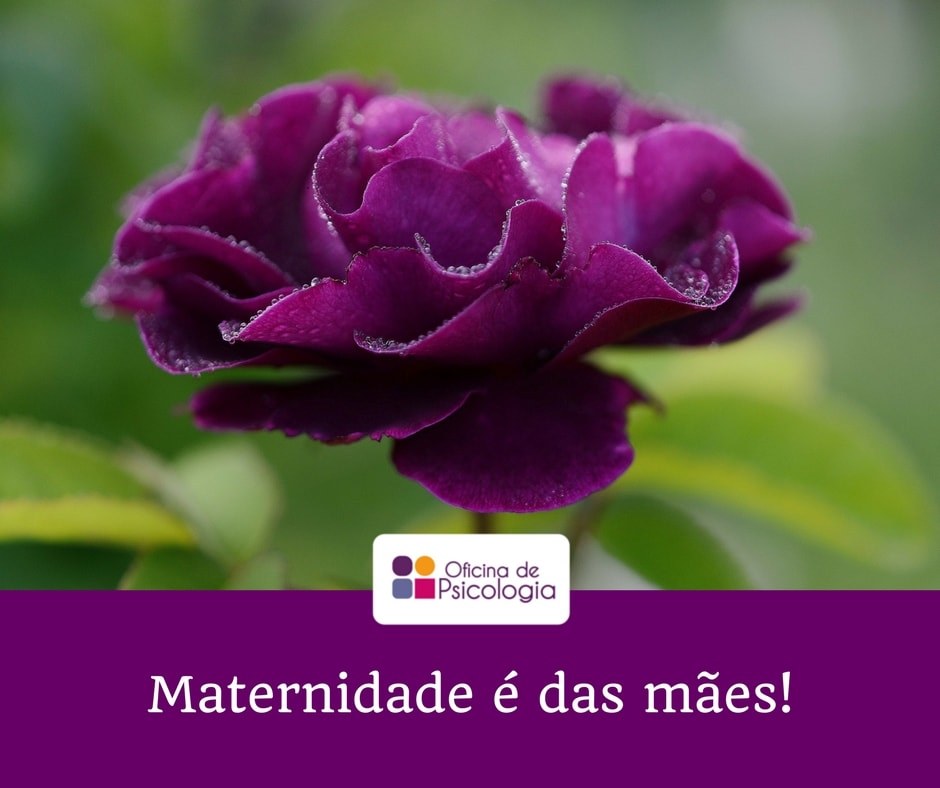Maternidade é das mães