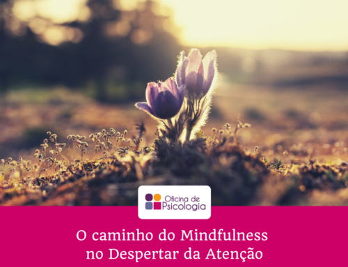 O caminho do Mindfulness no Despertar da Atenção