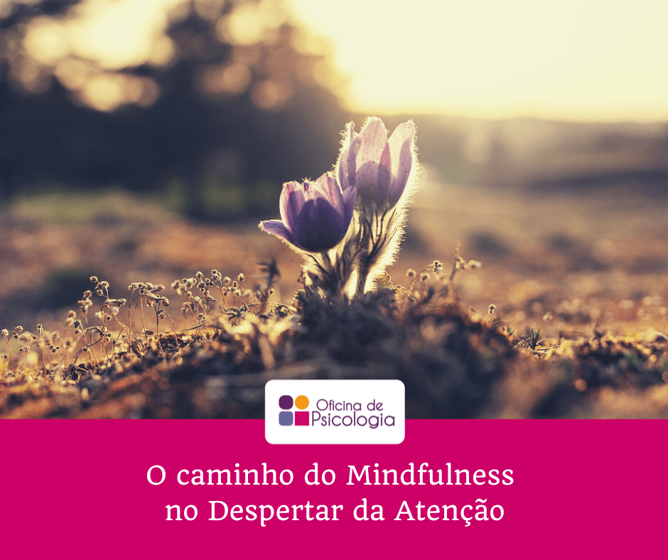 O caminho do Mindfulness no Despertar da Atencao